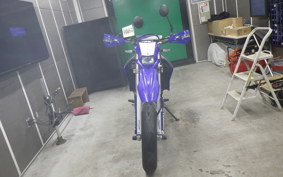 YAMAHA WR250R DG15J