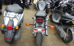 HONDA REBEL 250 MC13