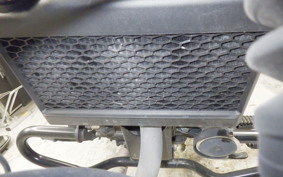 HONDA REBEL 250 S 2024 MC49