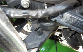 KAWASAKI NINJA 250 SL BX250A