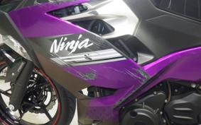 KAWASAKI NINJA 250