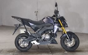 KAWASAKI Z125 PRO  BR125H