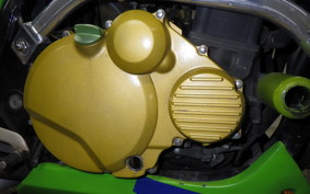 KAWASAKI ZRX1100 2001 ZRT10C