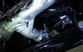 KAWASAKI W800 2024 EJ800E