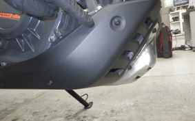 KTM 250 ADVENTURE 2024