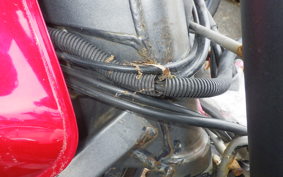 HONDA HORNET 250 MC31