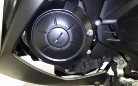 YAMAHA YZF-R25 2016 RG43J