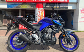 YAMAHA MT-25 RG74J