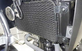 SUZUKI Vｽﾄﾛｰﾑ250A 2022