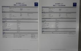 PIAGGIO MP3 250 RL 2008