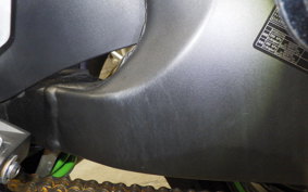 KAWASAKI NINJA ZX-6R A 2020 ZX636G