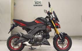 KAWASAKI Z125 PRO 2007 BR125H