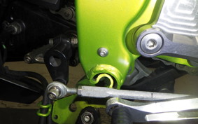 KAWASAKI NINJA 250 SL
