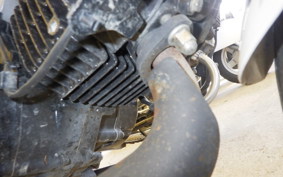 HONDA ｸﾞﾛﾑ 2023 JC75