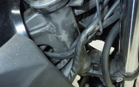KAWASAKI Z250 2021 ER250C