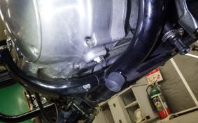 OTHER +HD. XL883-I 2009