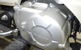 HONDA C50 SUPER CUB AA09