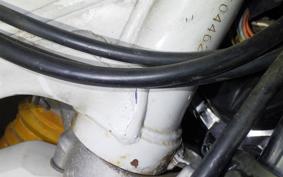 SUZUKI DJEBEL 250 XC 2008 SJ45A