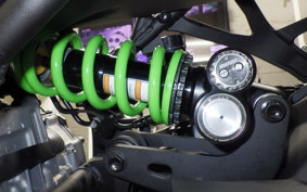 KAWASAKI ZX-4RR 2024 ZX400P