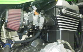 KAWASAKI ZRX1200 D 2012 ZRT20D