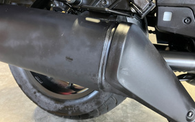 HONDA REBEL 1100 DCT 2022 SC83