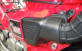 HONDA CT125 HUNTER CUB 2022 JA55