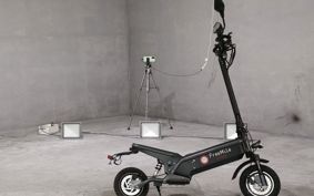 OTHER  ELECTRIC SCOOTER  FREE  MILE  PLUS  ..