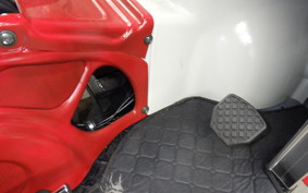 OTHER UNREGISTERED MODEL by BDS TRIKE250 2024