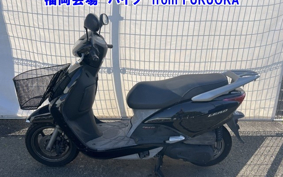 OTHER  LEAD 110EX