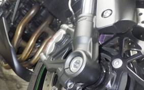 KAWASAKI Z1000 Gen.5 2018