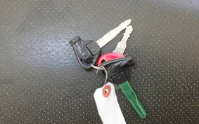 YAMAHA CYGNUS 125 XSR 3 SED8J