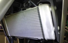 HONDA CB250RA 2024 MC52