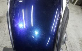 KAWASAKI W800 2015 EJ800A