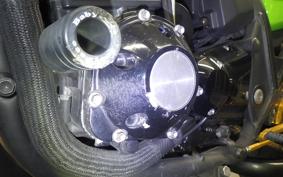 KAWASAKI ZRX1200 D 2013 ZRT20D