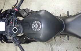 YAMAHA YZF-R25 2023 RG43J