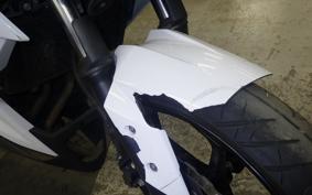 KAWASAKI Z250 ER250C