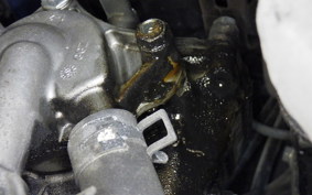 HONDA TACT-4ﾍﾞｰｼｯｸ AF79