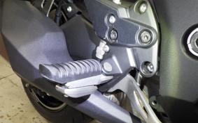 KAWASAKI NINJA 1000SX 2024 ZXT02K