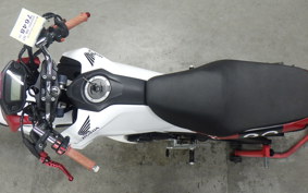 HONDA GROM