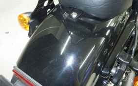 HARLEY XL1200NS 2018