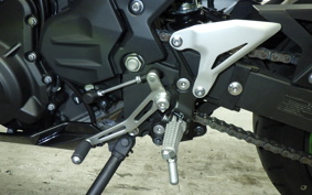 KAWASAKI NINJA 250 2023 EX250Y