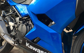 KAWASAKI NINJA 250 EX250P