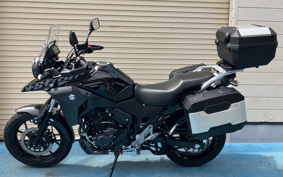 SUZUKI STROM 250 DS11A