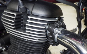 OTHER +ENFIELD ﾒﾃｵ350 2024