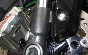 KAWASAKI NINJA H2 SX SE 2021