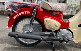 HONDA SUPER CUB50 AA09