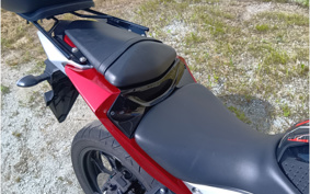 YAMAHA MT-25 RG10J