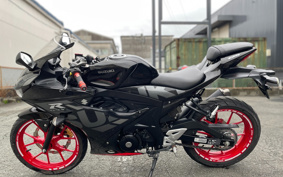 SUZUKI GSX-R125 ABS DL33B