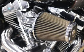 HARLEY FXDL 2016 GN4