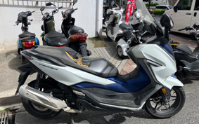 HONDA  FORZA 250 MF13